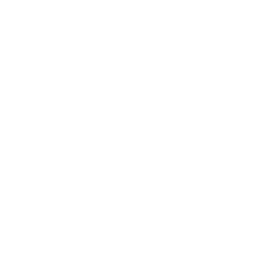 Script Support icon